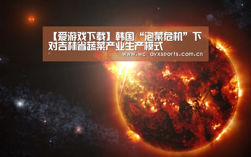 【爱游戏下载】韩国“泡菜危机”下对吉林省蔬菜产业生产模式(图3) ayx下载