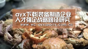 ayx下载|装备制造企业人才强企战略路径研究