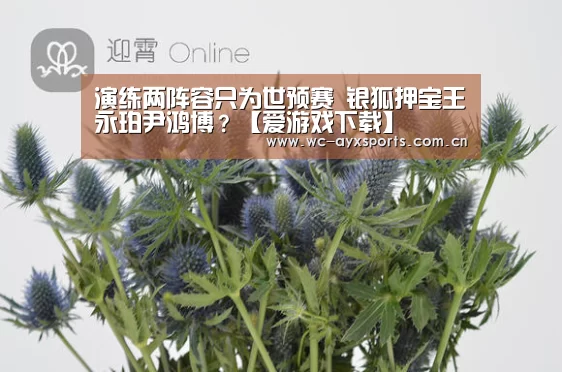 演练两阵容只为世预赛 银狐押宝王永珀尹鸿博？【爱游戏下载】