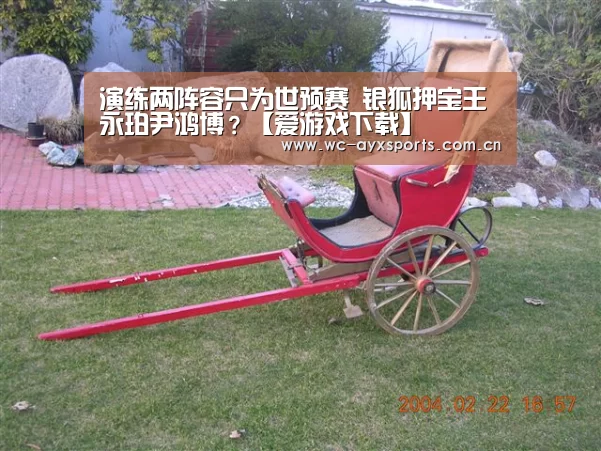 演练两阵容只为世预赛 银狐押宝王永珀尹鸿博?【爱游戏下载】(图2) 爱游戏app