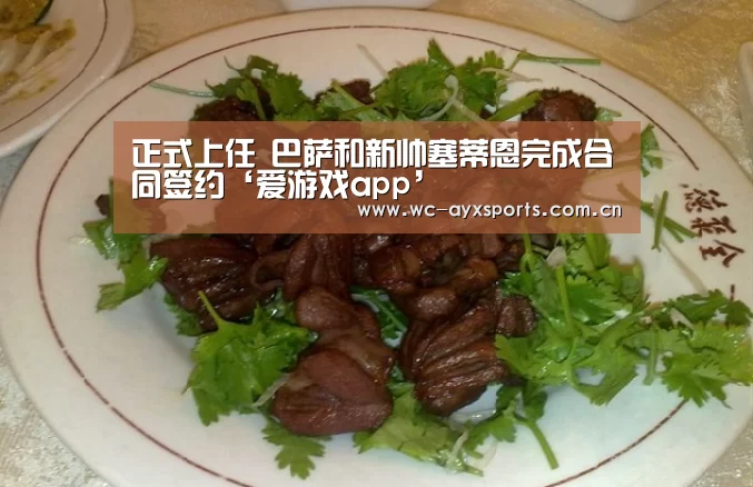爱游戏官网